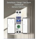 Tomzn Akıllı Voltaj ve Akım Koruma Rölesi, WiFi Özellikli Dahili Enerji Ölçer 63A eWelink Uyumlu